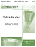 Wade in the Water - 3-5 oct. Level 3-Digital Download